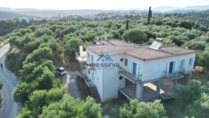 Κατοικία προς Πώληση, 288 τ.μ., Αβραμιον