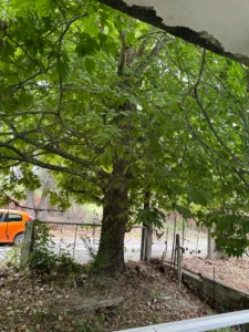 Κατοικία προς Πώληση, 60 τ.μ., Πυργετός Λάρισας