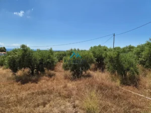 Κατοικία προς Πώληση, 65 τ.μ., Χρυσοκελλαρια