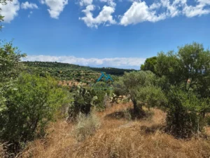 Κατοικία προς Πώληση, 65 τ.μ., Χρυσοκελλαρια