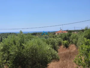 Κατοικία προς Πώληση, 65 τ.μ., Χρυσοκελλαρια