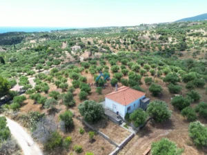 Κατοικία προς Πώληση, 65 τ.μ., Χρυσοκελλαρια