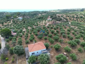 Κατοικία προς Πώληση, 65 τ.μ., Χρυσοκελλαρια