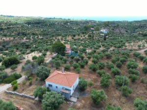 Κατοικία προς Πώληση, 65 τ.μ., Χρυσοκελλαρια