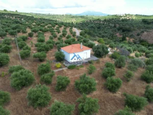 Κατοικία προς Πώληση, 65 τ.μ., Χρυσοκελλαρια