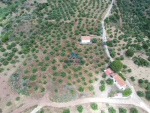 Κατοικία προς Πώληση, 65 τ.μ., Χρυσοκελλαρια