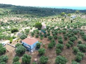 Κατοικία προς Πώληση, 65 τ.μ., Χρυσοκελλαρια