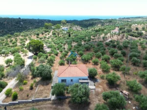 Κατοικία προς Πώληση, 65 τ.μ., Χρυσοκελλαρια