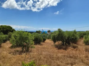 Κατοικία προς Πώληση, 65 τ.μ., Χρυσοκελλαρια