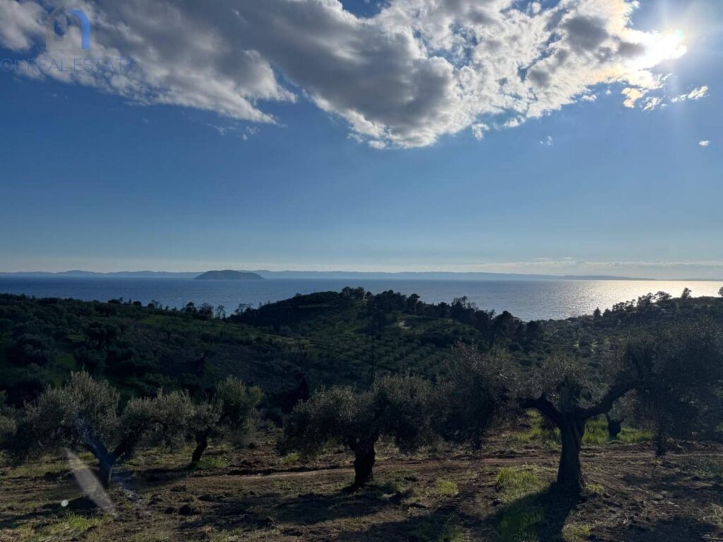 Property in Greece