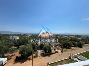Διαμέρισμα προς Πώληση, 102 τ.μ., Λαιικα