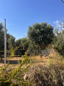 Γη προς Πώληση, 205 τ.μ., Ακταιο