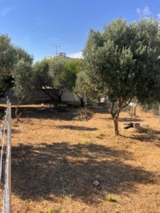 Γη προς Πώληση, 205 τ.μ., Ακταιο