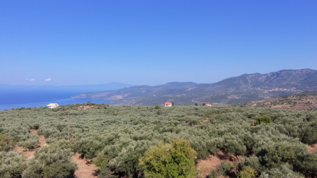 Γη προς Πώληση, , Περιφέρεια Πελοποννήσου