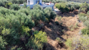 Γη προς Πώληση, , Περιφέρεια Πελοποννήσου