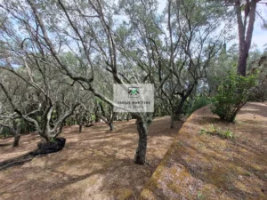 Κατοικία προς Πώληση, 240 τ.μ., Γαρδελαδεςι