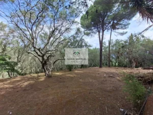 Κατοικία προς Πώληση, 240 τ.μ., Γαρδελαδεςι