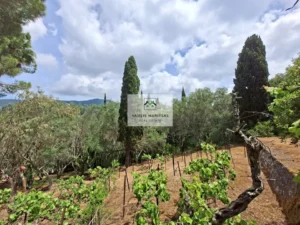 Κατοικία προς Πώληση, 240 τ.μ., Γαρδελαδεςι