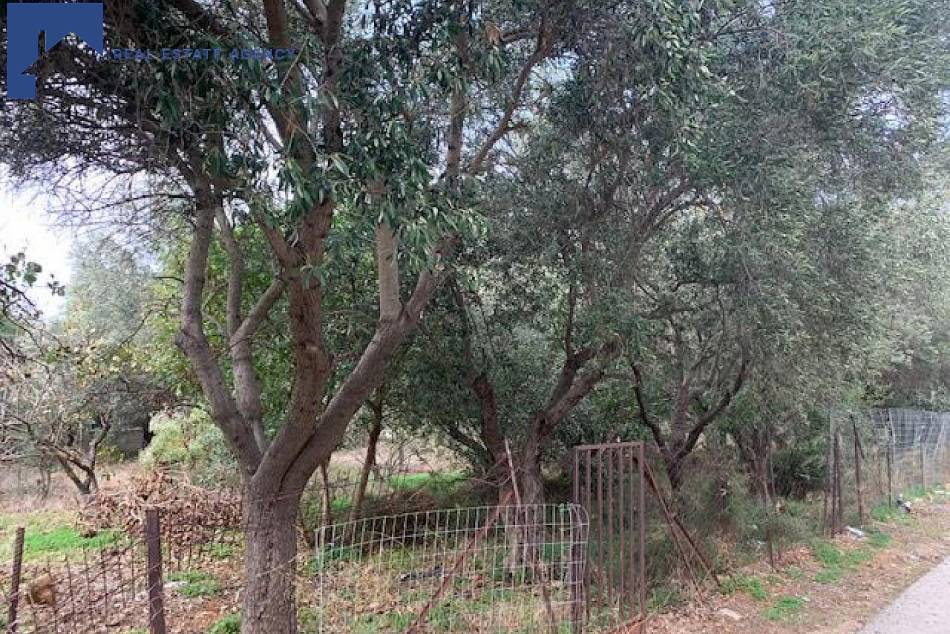 Property in Greece