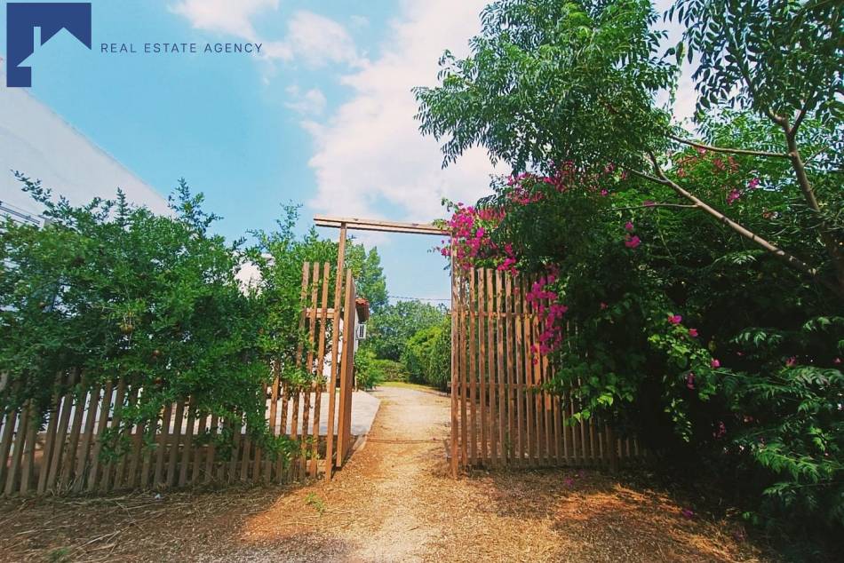 Property in Greece