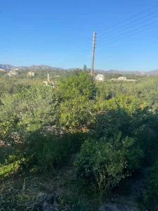 Διαμέρισμα προς Πώληση, 139 τ.μ., Κουνουπιδιανά Χανίων