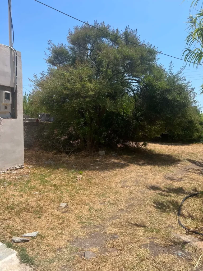 Γη προς Πώληση, 200 τ.μ., Σέριφος