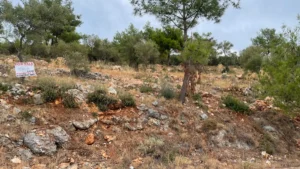 Γη προς Πώληση, 3426 τ.μ., Φτερνον