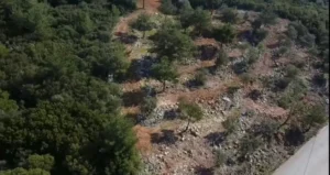 Γη προς Πώληση, 3426 τ.μ., Φτερνον
