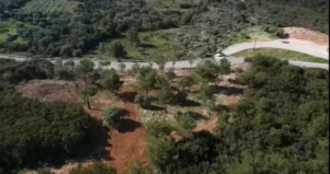 Γη προς Πώληση, 3426 τ.μ., Φτερνον