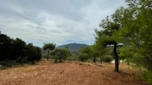 Γη προς Πώληση, 3426 τ.μ., Φτερνον