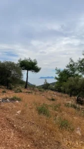 Γη προς Πώληση, 3426 τ.μ., Φτερνον