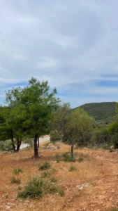 Γη προς Πώληση, 3426 τ.μ., Φτερνον