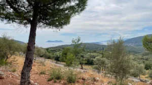 Γη προς Πώληση, 3426 τ.μ., Φτερνον