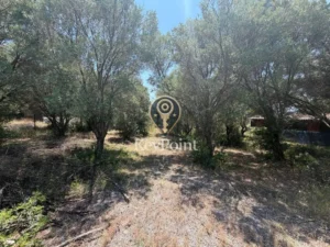 Κατοικία προς Πώληση, 36 τ.μ., Νέα Καλλικράτεια