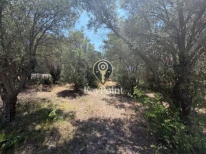 Κατοικία προς Πώληση, 36 τ.μ., Νέα Καλλικράτεια