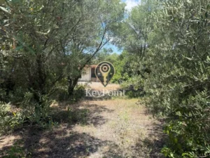 Κατοικία προς Πώληση, 36 τ.μ., Νέα Καλλικράτεια