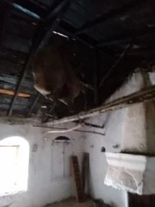 Κατοικία προς Πώληση, 204 τ.μ., Παρθένι Αρκαδίας