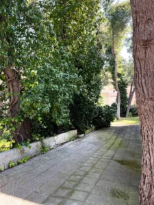 Κατοικία προς Πώληση, 259 τ.μ., Εκάλη Αττικής