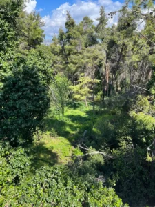 Κατοικία προς Πώληση, 259 τ.μ., Εκάλη Αττικής