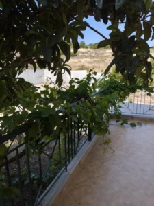Κατοικία προς Πώληση, 750 τ.μ., Θήβα